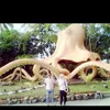 santodaud1993