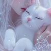 user41503140611042