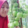 pesonamu28