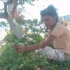 user71509460783422