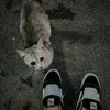lioova