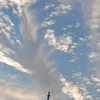 lai_rh