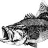 thefishingboi881
