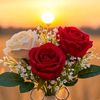 moir.husen