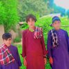 shazaibjan8616