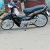 vivofan54