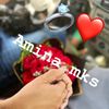 amina_mks2004