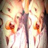 su.myat.noe280