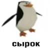svatik_buratik2