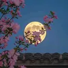 moonlight22125