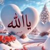 ali.ahmed8817