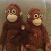 monkey_4551