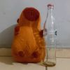 capibara58969