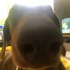 maxmaxmamaxmax