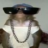 itz_hadda2278