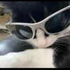 ariathna_77