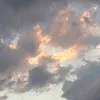top_dawg48