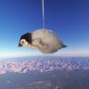 pompom_11_