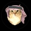 gato_astronomico81
