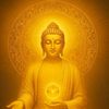 user7324700458147