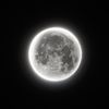 _moonx17