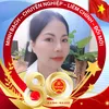 nguynyn3374