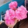 thaethaehnin85