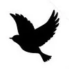 user3958761206363