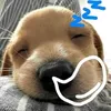 bao.ngocuti