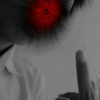 zkwn_adil
