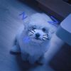 lee_smn