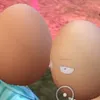odungg_