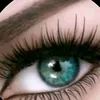 camy.camy62