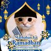 rian.636