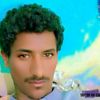 userali09555555556