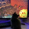 neponal93