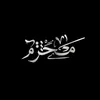 tz_x813