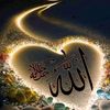 siti.seyfu