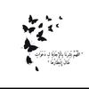 moonshams258