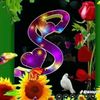 asd.jokhio