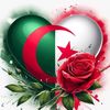 nouraliaqin