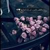 zhour_f4