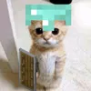 xyz_ducwenji