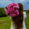 daryna0275