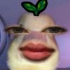 lonikakrst