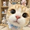 lilosukamaggie