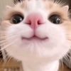 user1243881581132