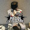 xincomgol