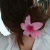 emsi2223