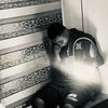 badboifundz_1